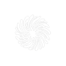 Noctura Logo