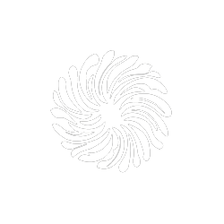 Noctura Logo